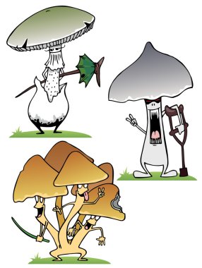 Fungus clipart