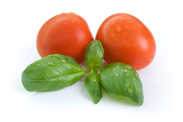 Tomates basilic — Photo