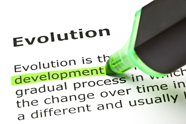 "Entwicklung" unter "Evolution" hervorgehoben — Stockfoto