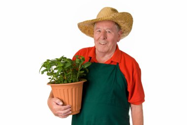 Amateur gardener clipart
