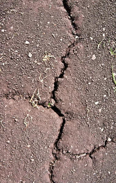 干燥的地面上的裂缝 — 图库照片