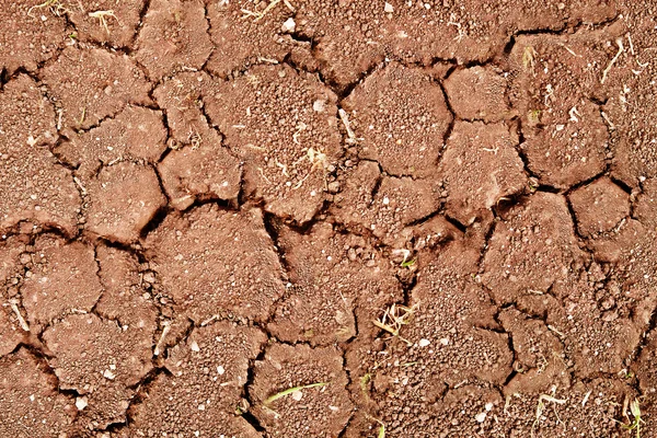 乾燥した地面に亀裂 — ストック写真