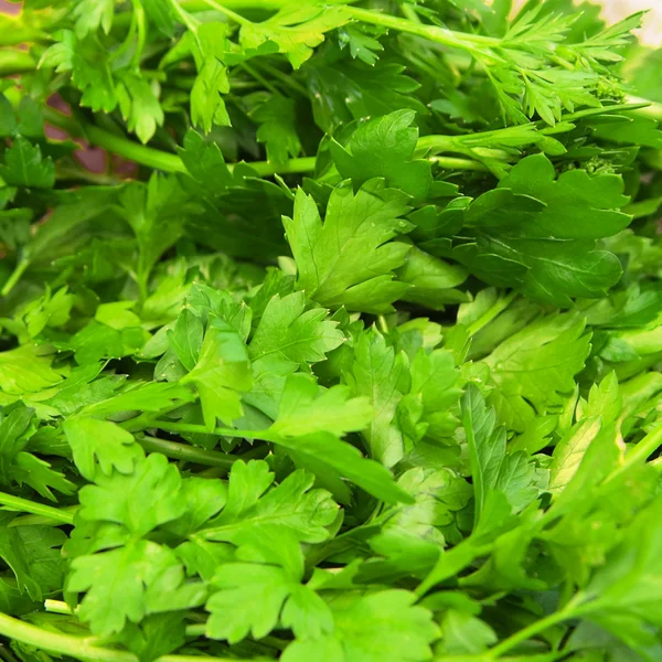 Background of parsley — Stock Photo, Image