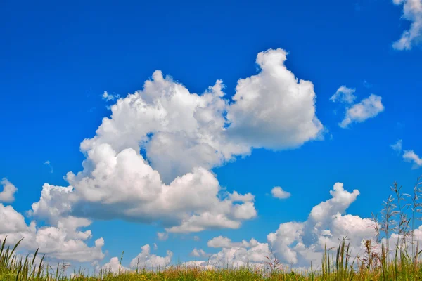 Cumulus clouds in blue sky over a meadow — Stock Photo, Image