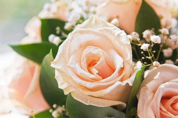 Крупный план бутона розы — стоковое фото