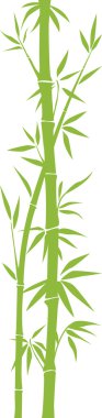 Bamboo clipart