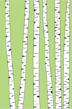 Birch trunk trees background clipart