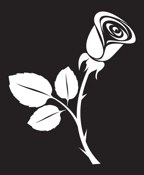 Векторная иллюстрация роз — стоковый вектор