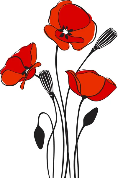 Fond floral pavot — Image vectorielle