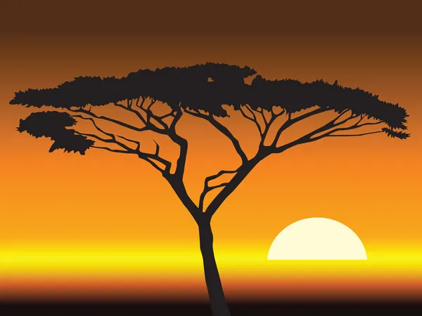 Sunset background.vector Afrikalı illüstrasyon — Stok Vektör