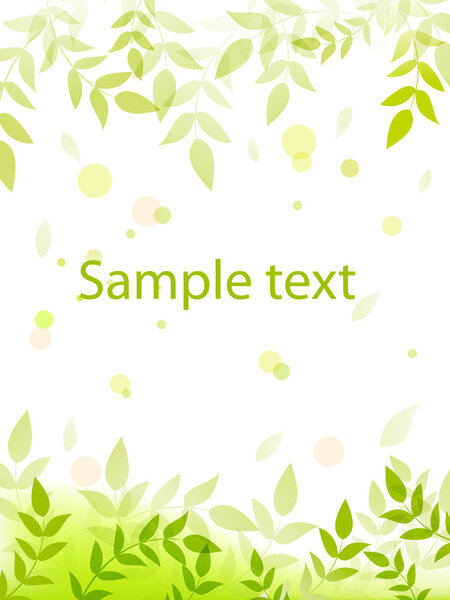 Зеленые свежие листья
