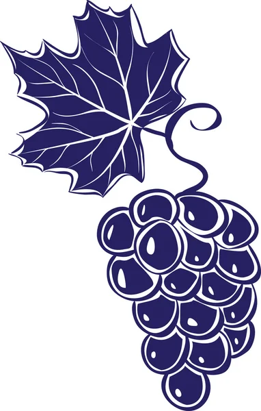 Racimo de uvas. Ilustración vectorial — Vector de stock