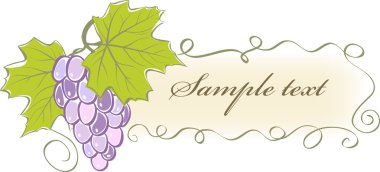 Vintage banner con uvas y hojas