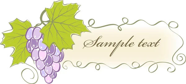 Banner vintage con uvas y hojas — Vector de stock