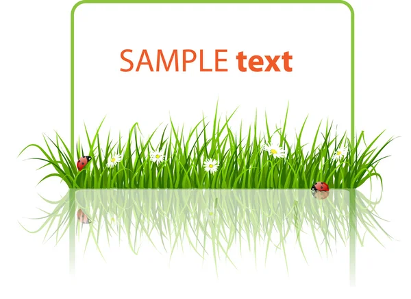 Bannière de printemps avec herbe et coccinelle — Image vectorielle