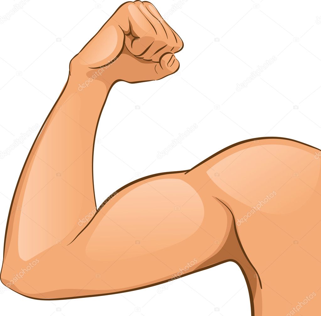 Man's Arm muscles