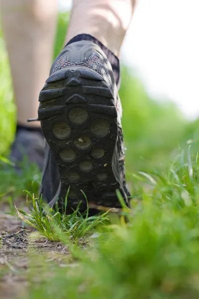 Mna caminar en el bosque, hacer ejercicio al aire libre —  Fotos de Stock