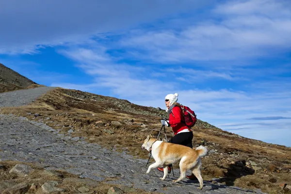 Hiking in mountains with a dog — Stock Photo, Image