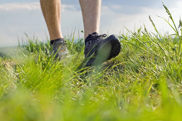 Chodzenie na zielonej trawie — Zdjęcie stockowe