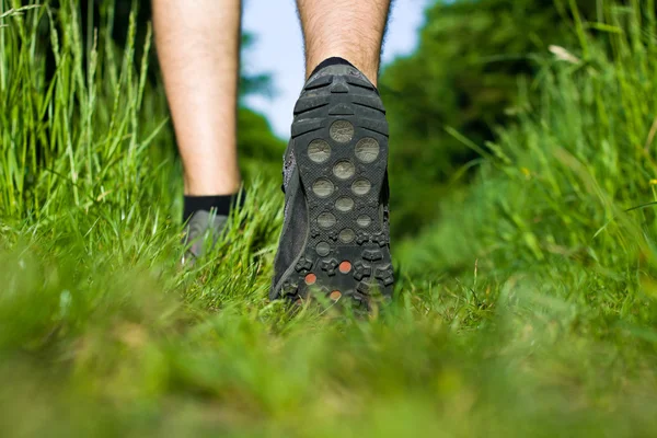 Man lopen op groen gras in bos — Stockfoto