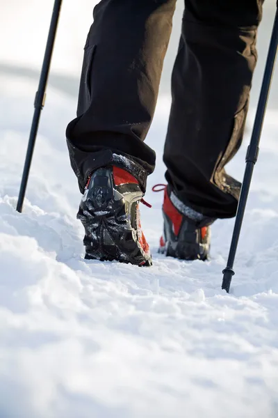 Nordic walking v zimě — Stock fotografie