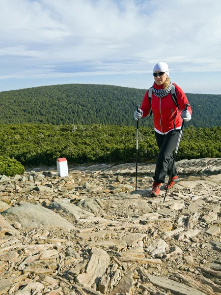 Nordic walking v horách — Stock fotografie