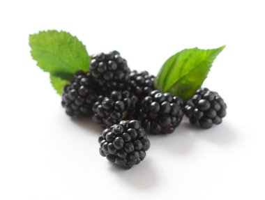 Blackberry