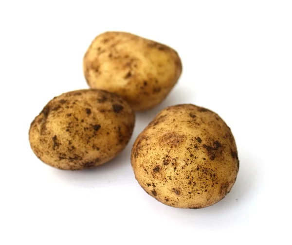 Taze roseval patates — Stok fotoğraf