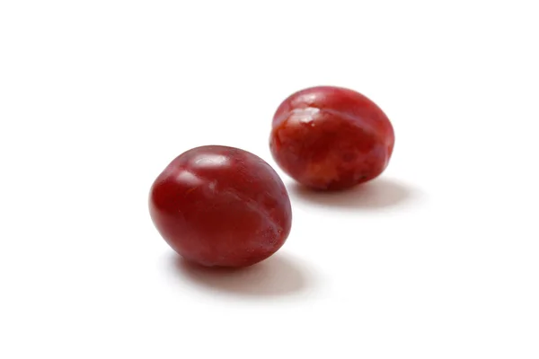 stock image Plums