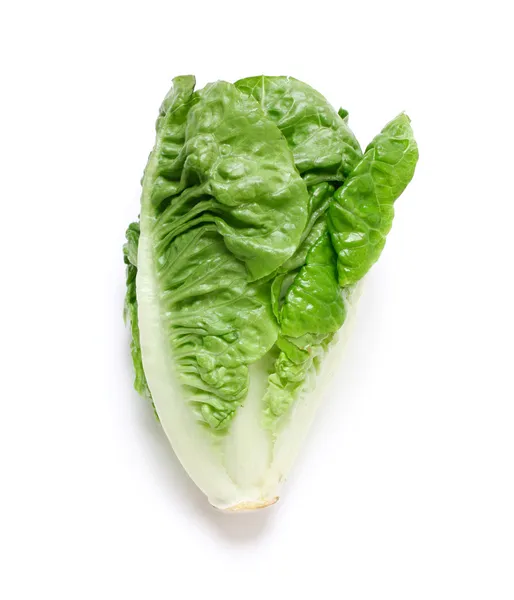 Romaine salad — Stock Photo, Image