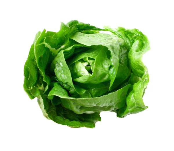Роменский салат — стоковое фото