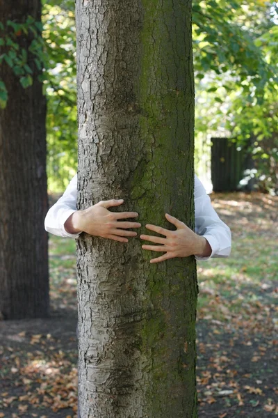 stock image A man hugging a tree