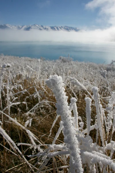 Inverno na Nova Zelândia — Fotografia de Stock