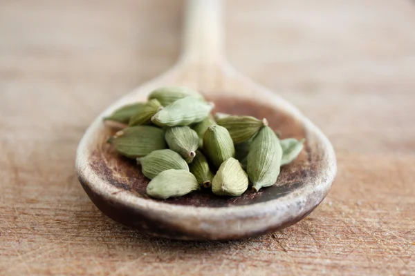 stock image Cardamom