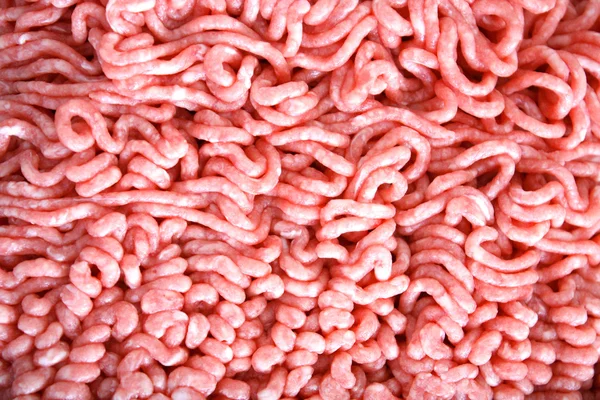 stock image Minced beef