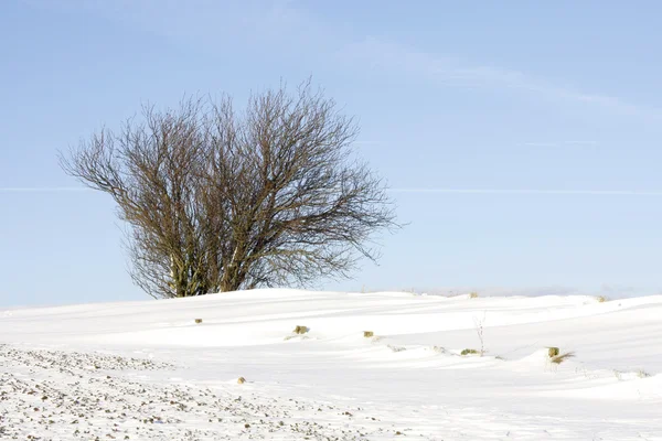 Winterzeit — Stockfoto