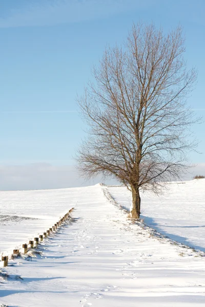 Winterzeit — Stockfoto