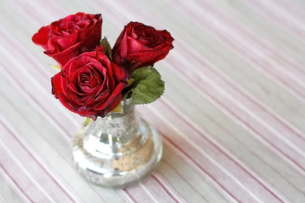 Rosas. — Foto de Stock