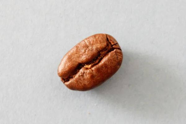 커피 콩 — 스톡 사진