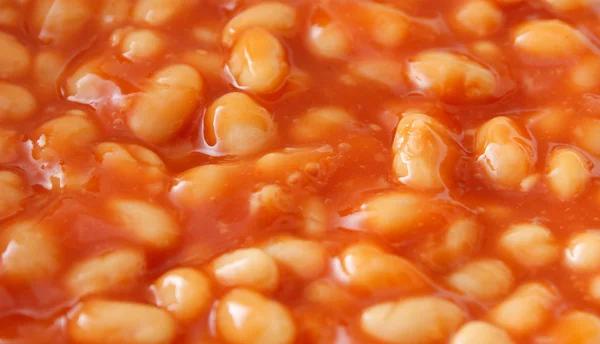 Pečené fazole — Stock fotografie