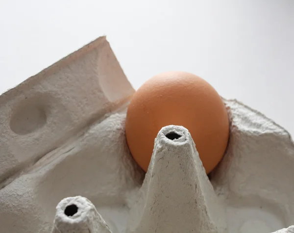 Egg in pallet — Stock Photo, Image