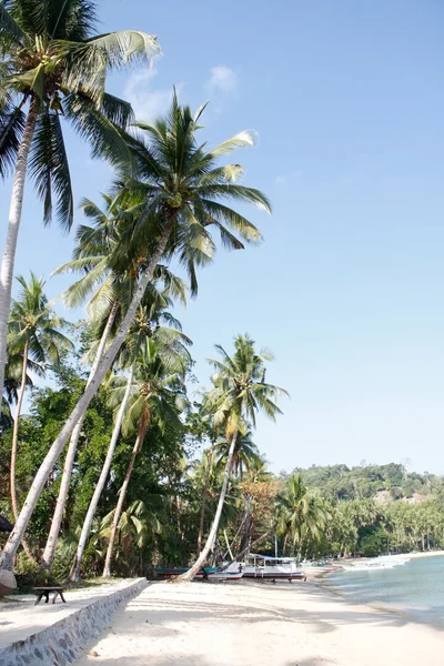 stock image Beach