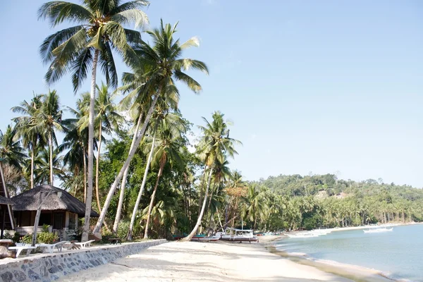 stock image Beach