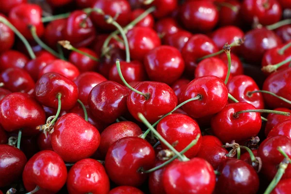 stock image Cherries