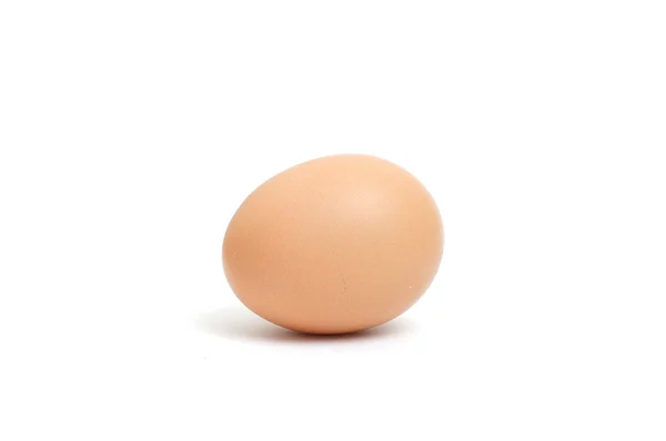 stock image Fresh egg