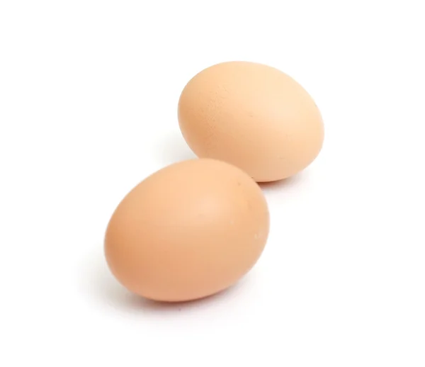 stock image Fresh egg