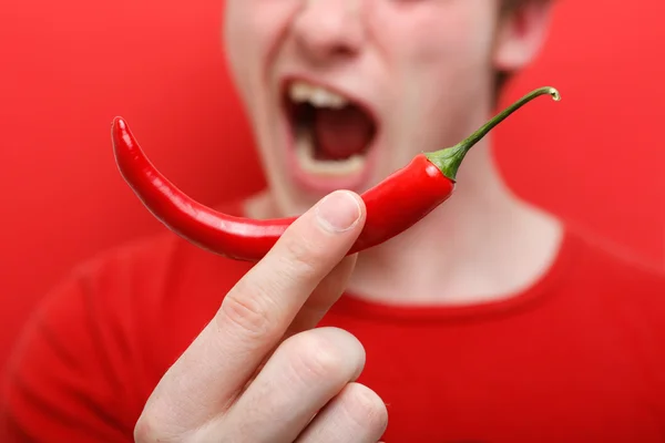 Étkezés a chili paprika — Stock Fotó