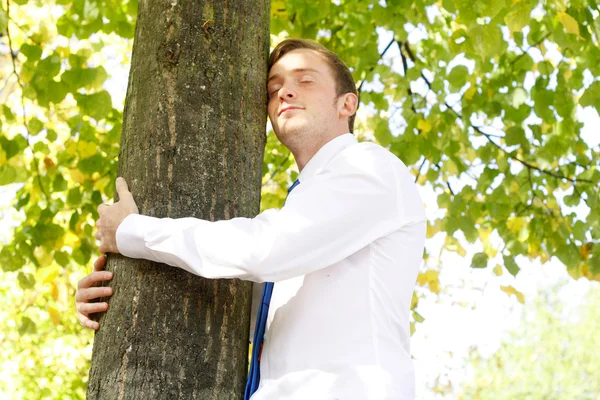 Деловой человек обнимает дерево — стоковое фото