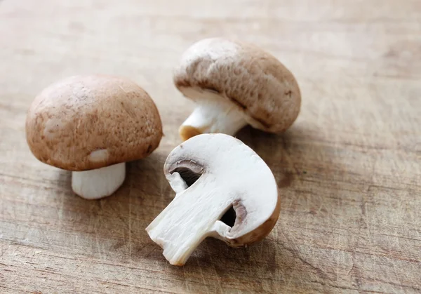 Коричневий гриби — стокове фото
