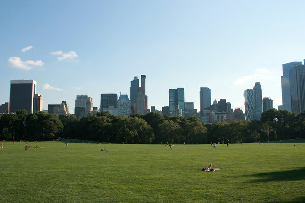 Central Park and the skyline in NYC